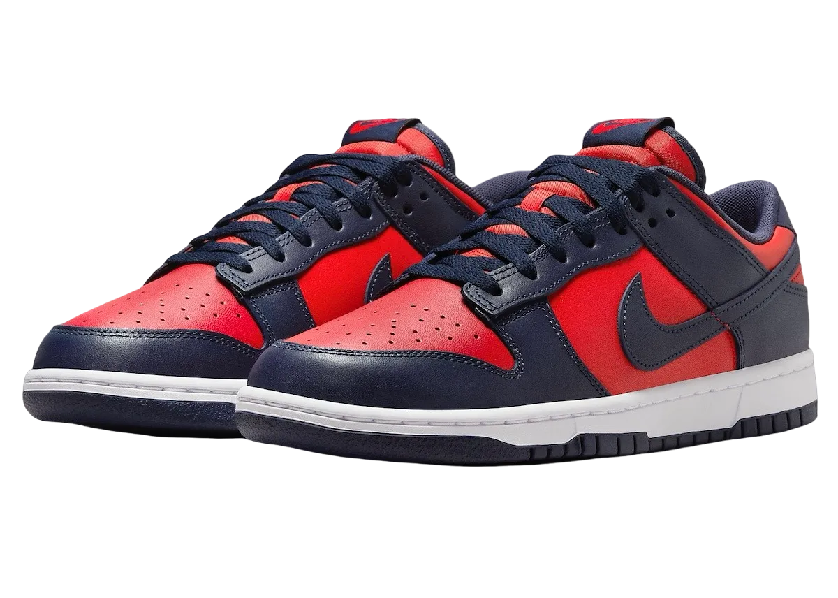 Nike Dunk Low CO