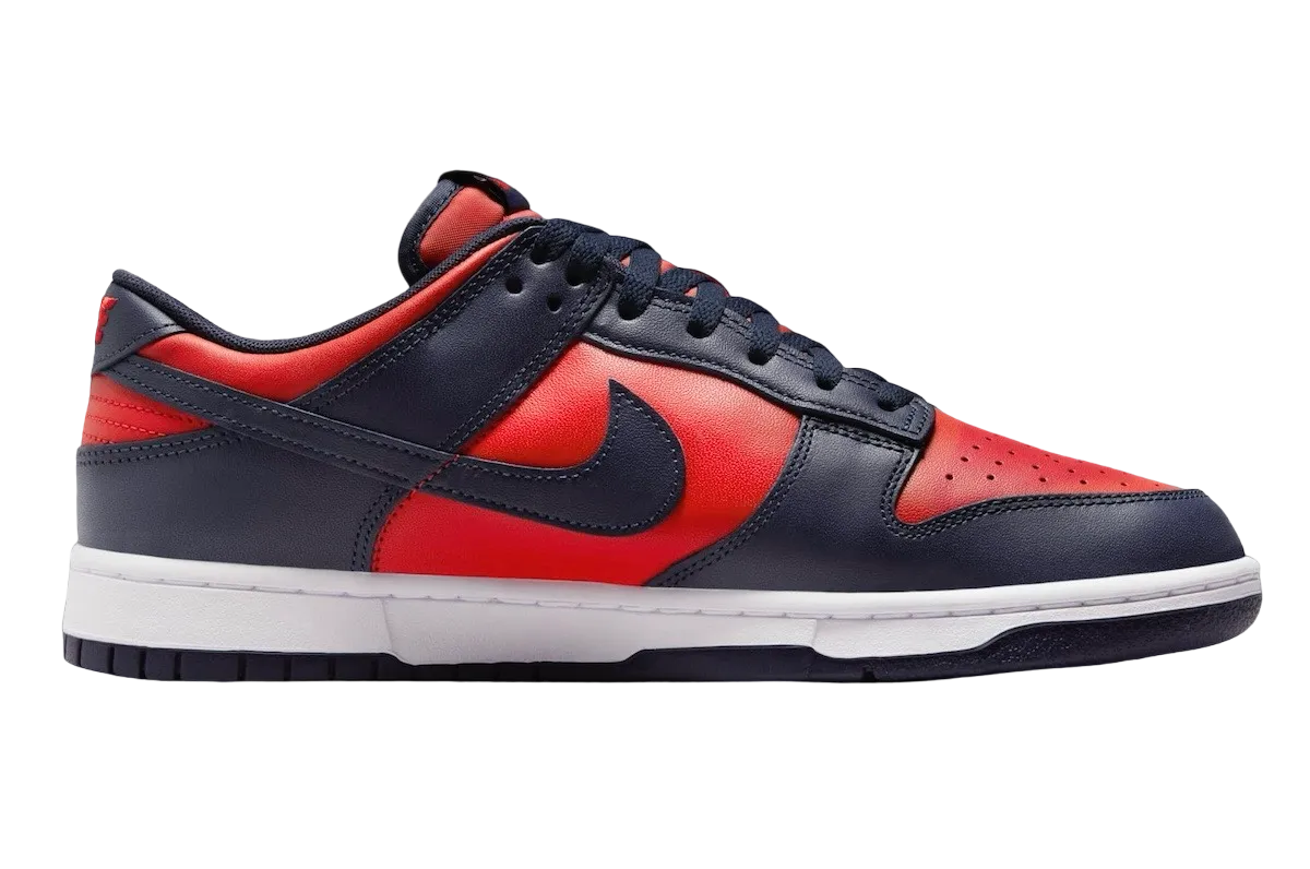 Nike Dunk Low CO