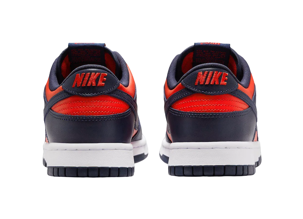 Nike Dunk Low CO