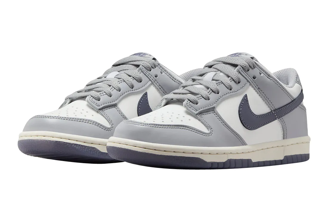 Nike Dunk Low GS Platinum Tint 0