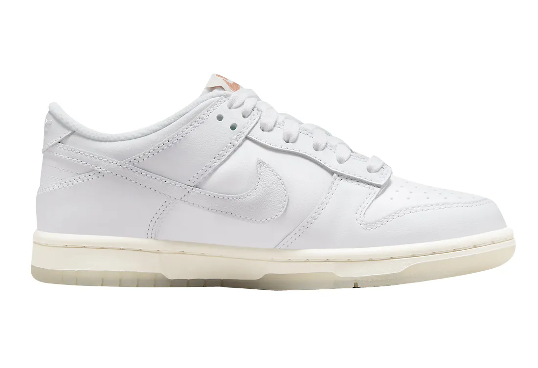 Nike Dunk Low GS Rainbow Swoosh 1