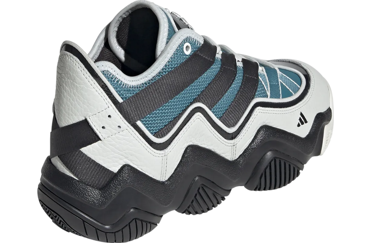 adidas top ten 2010 carbon arctic fusion 1