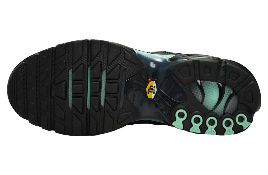 nike air max plus black mint 4