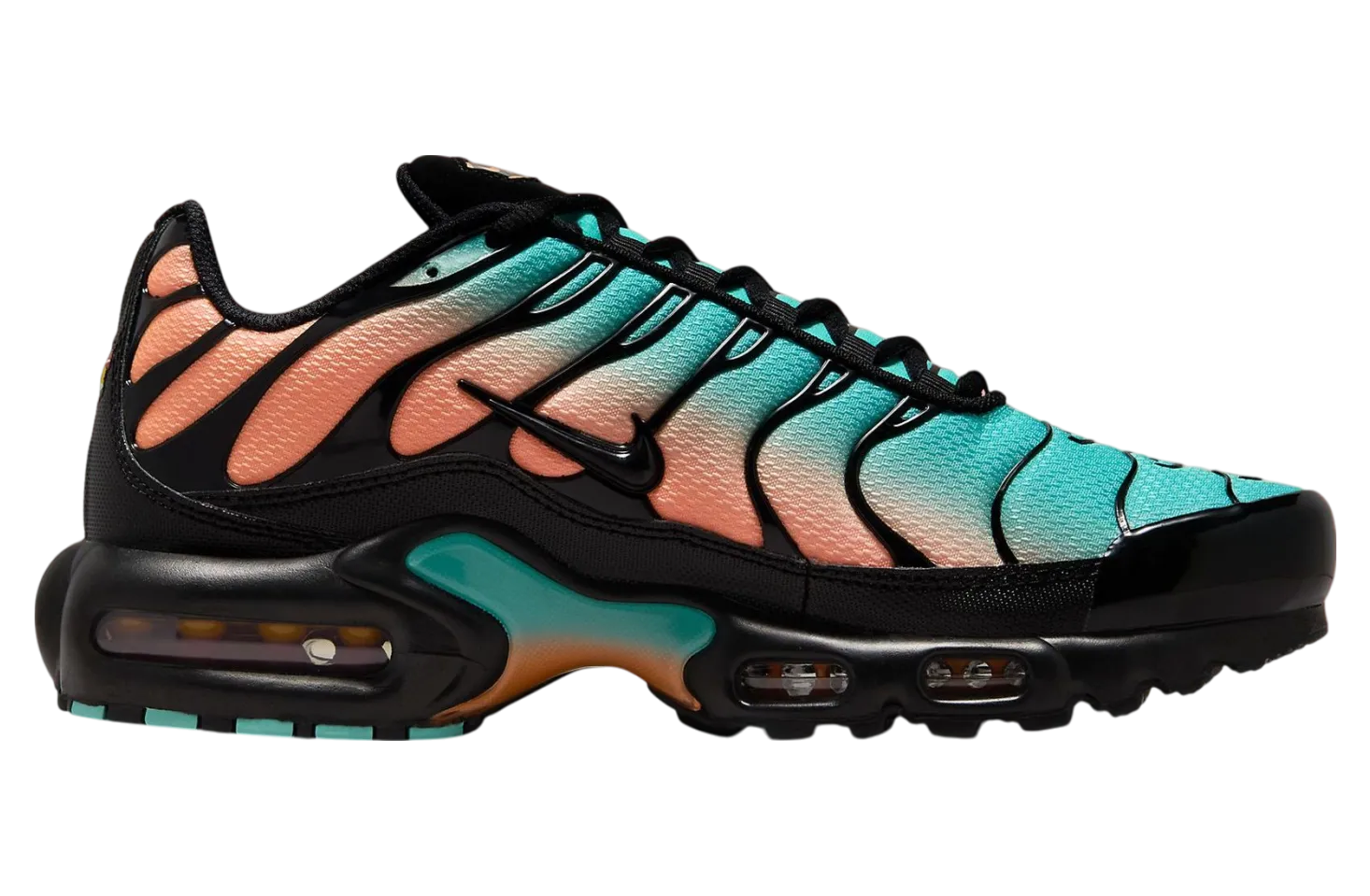 nike air max plus soflo gradient 1