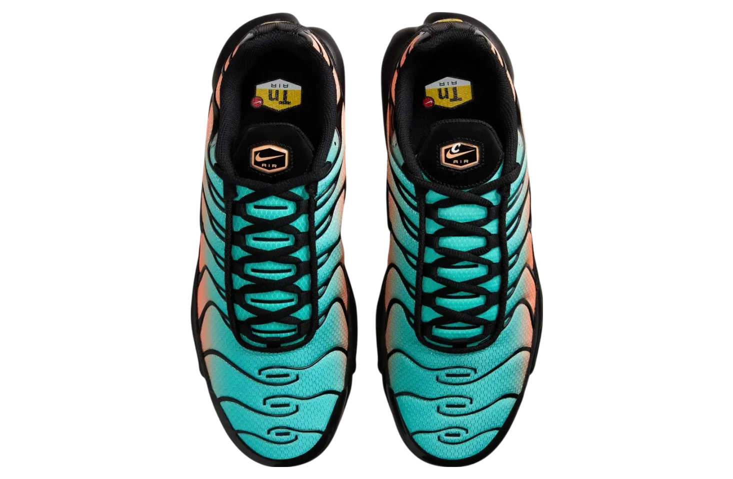 nike air max plus soflo gradient 2