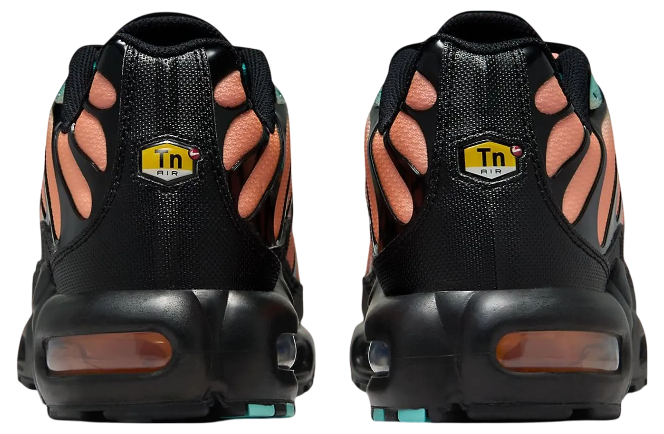 nike air max plus soflo gradient 3