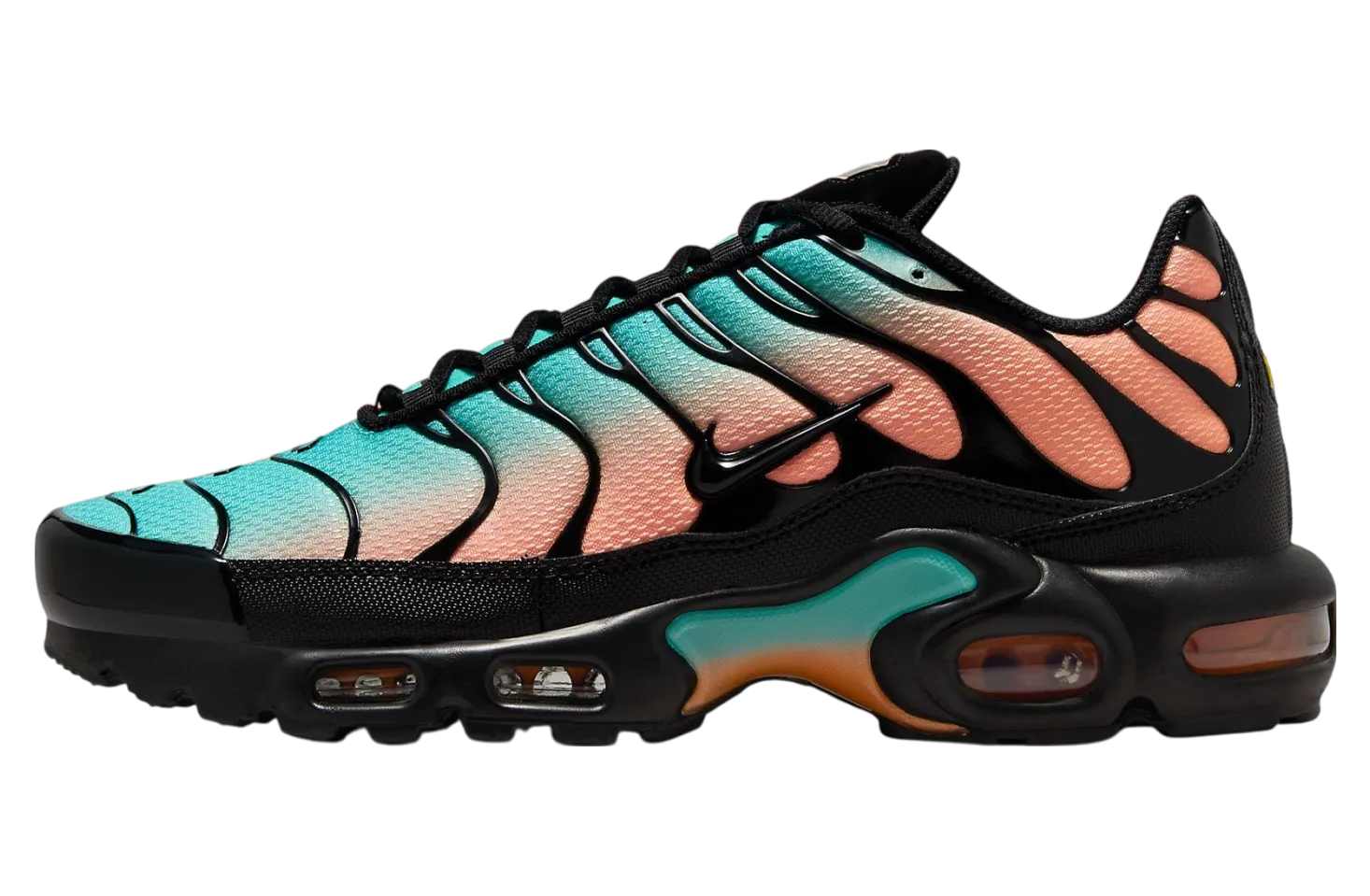 nike air max plus soflo gradient