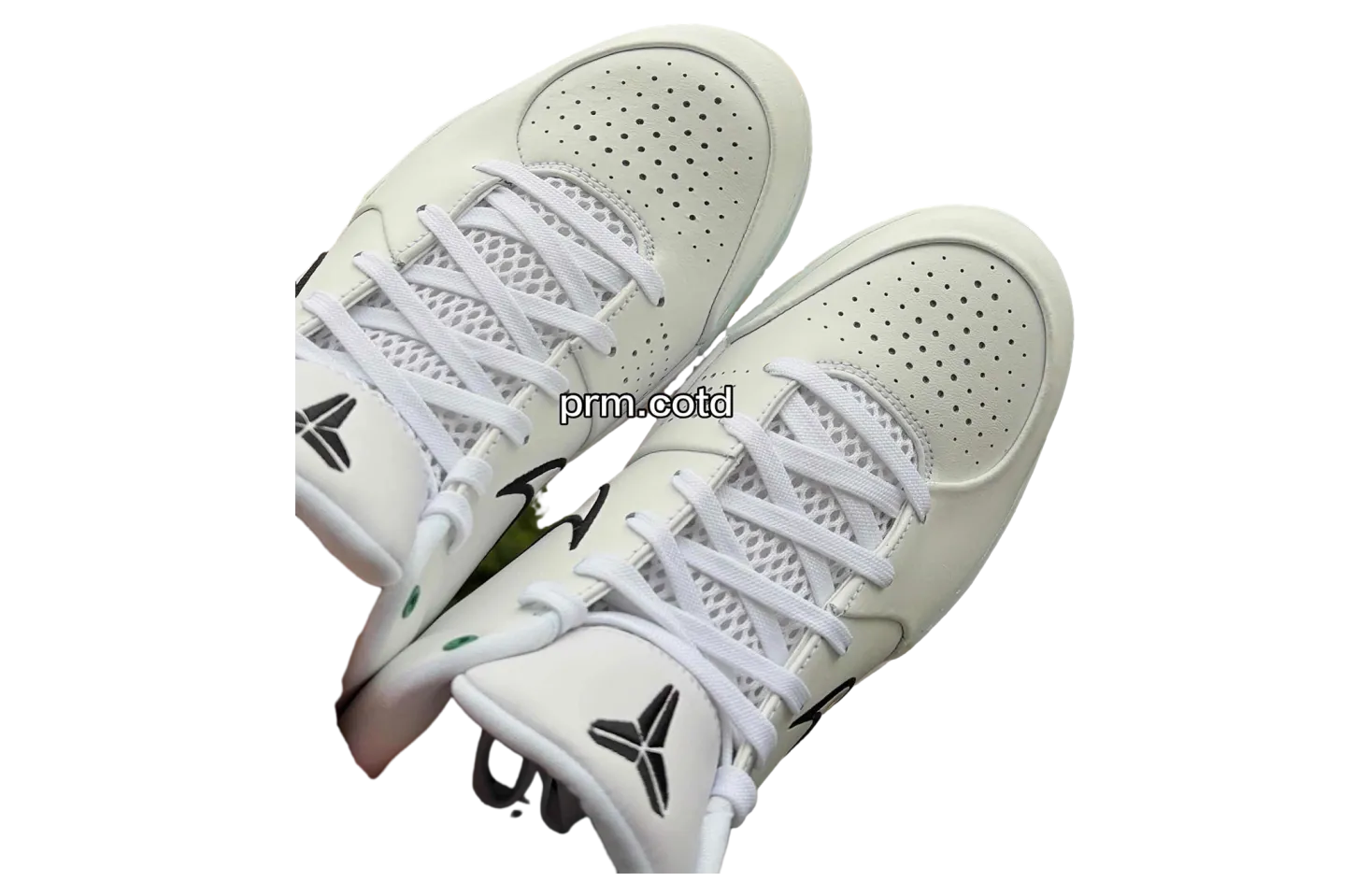 nike kobe 4 protro boston celtics 1