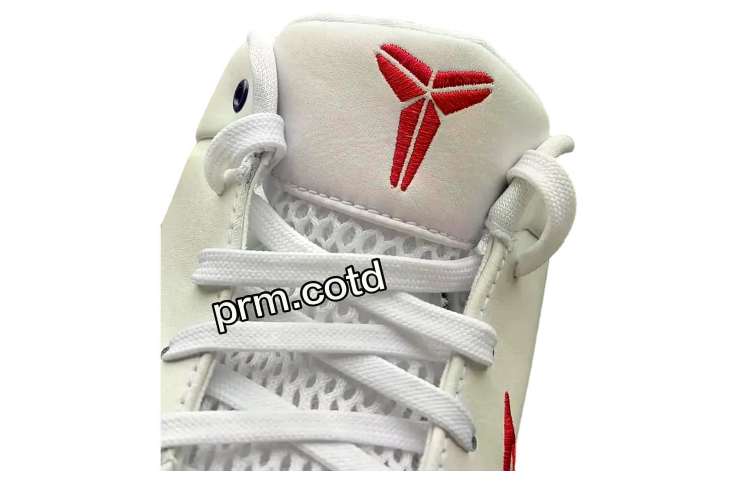 nike kobe 4 protro toronto raptors 4