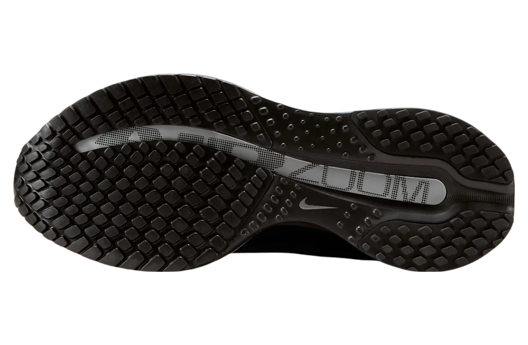 nike pegasus premium wmns black metallic silver 3