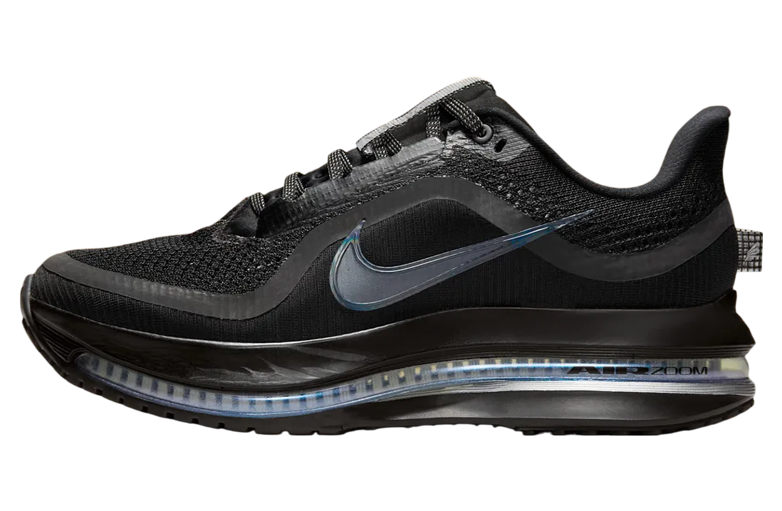 nike pegasus premium wmns black metallic silver